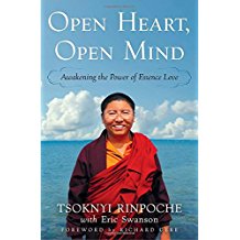 Open Heart, Open Mind : Awakening the Power of Essence Love Tsoknyi Rinpoche ( Hardcover )