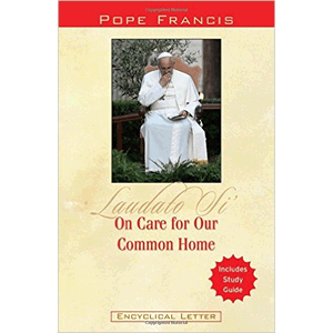 On Care for Our Common Home (Laudato Si') <br> (Paperback)
