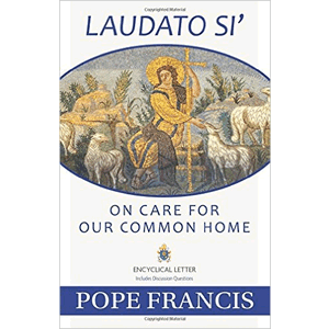 Laudato Si' On Care For Our Common Home Encyclical Letter<br> (Paperback)