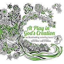 At Play in God's Creation: An Illuminating Coloring Book Tara M.Owens (Paperback)
