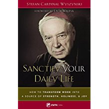 Sanctify Your Daily Life : How to Transform Work Into a Source of Strength, Holiness, and Joy Stefan Cardinal Wyszynski (Paperback)