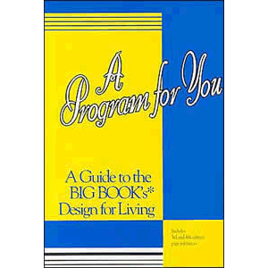 A Program for You - A Guide to the Big Book's Design for Living <br>Carolyn Barnes (Paperback)