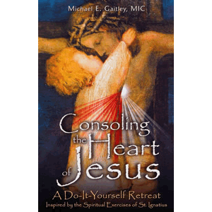 Consoling the Heart of Jesus - A Do -It -Yourself Retreat <br>Michael Gaitley (Paperback)