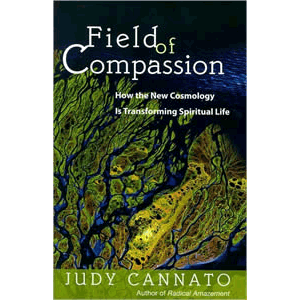 Field of Compassion - How the New Cosmology Is Transforming Spiritual Life <br>Judy Cannato (Paperback)