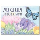 Alleluia Jesus Lives ! Easter Greeting Card